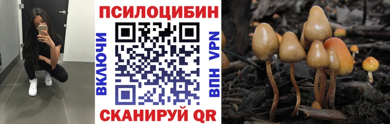 Псилоцибиновые грибы Magic Shrooms  Хасавюрт 